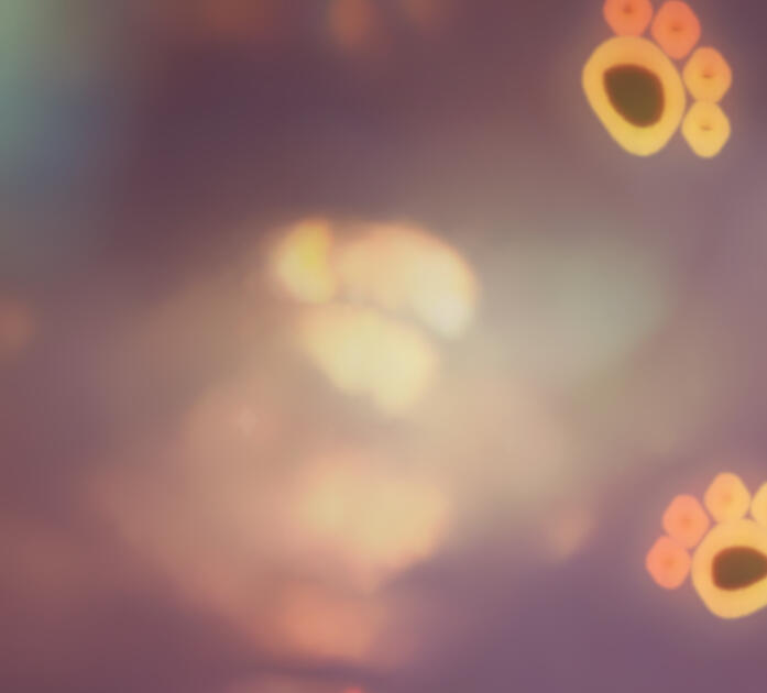 Could be you - Photographer